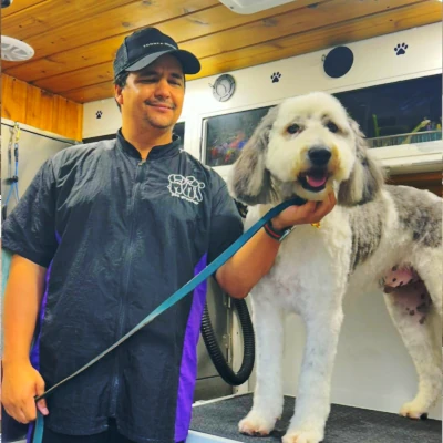 Groomer
