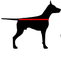 Large dog 16-20 inches Large dog 16-20 inches