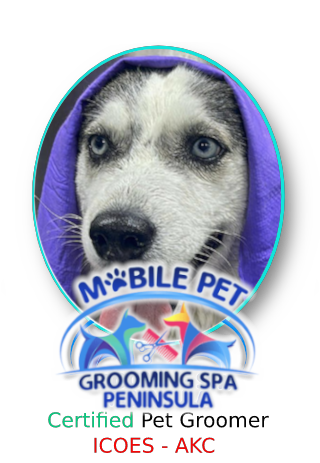 AKC Certified pet groomer Bay Area